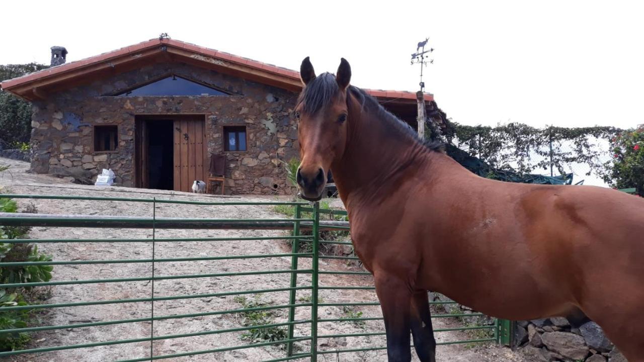 Finca Rural House Tenerife Relax And Enjoy Santa Úrsula Zewnętrze zdjęcie