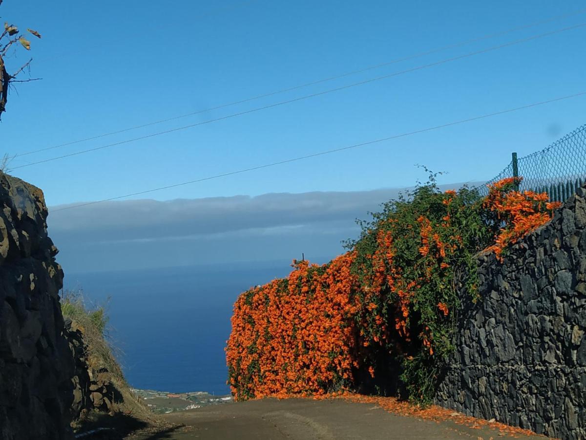Finca Rural House Tenerife Relax And Enjoy Santa Úrsula Zewnętrze zdjęcie