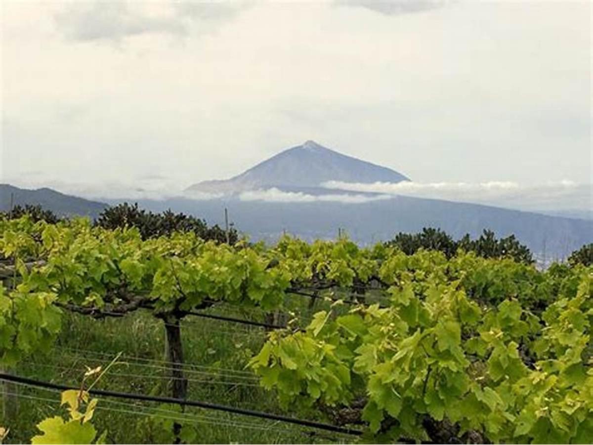 Finca Rural House Tenerife Relax And Enjoy Santa Úrsula Zewnętrze zdjęcie