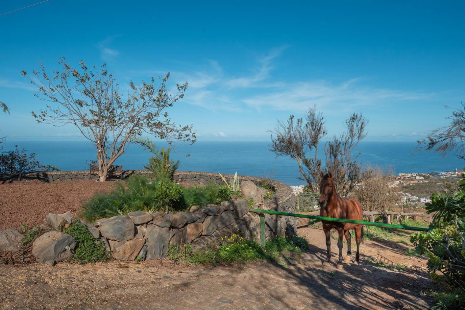 Finca Rural House Tenerife Relax And Enjoy Santa Úrsula Zewnętrze zdjęcie