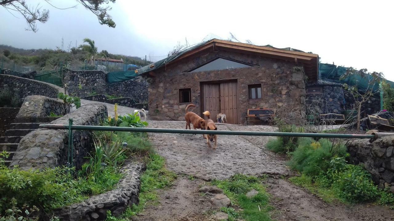 Finca Rural House Tenerife Relax And Enjoy Santa Úrsula Zewnętrze zdjęcie
