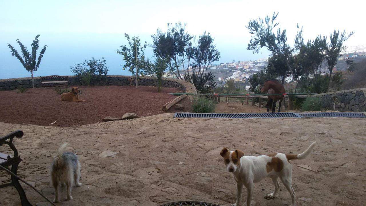 Finca Rural House Tenerife Relax And Enjoy Santa Úrsula Zewnętrze zdjęcie